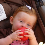 applefest2010_015