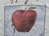 1994-Applefest t-shirt